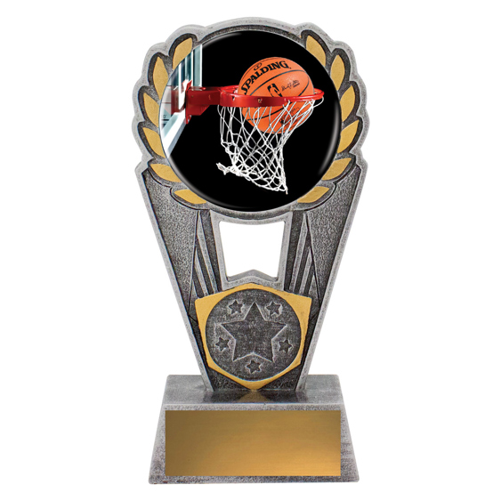 Basketball Polaris - Colour!