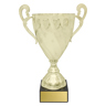 Fidelity Cup - Gold!