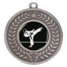 Distinction - Karate!