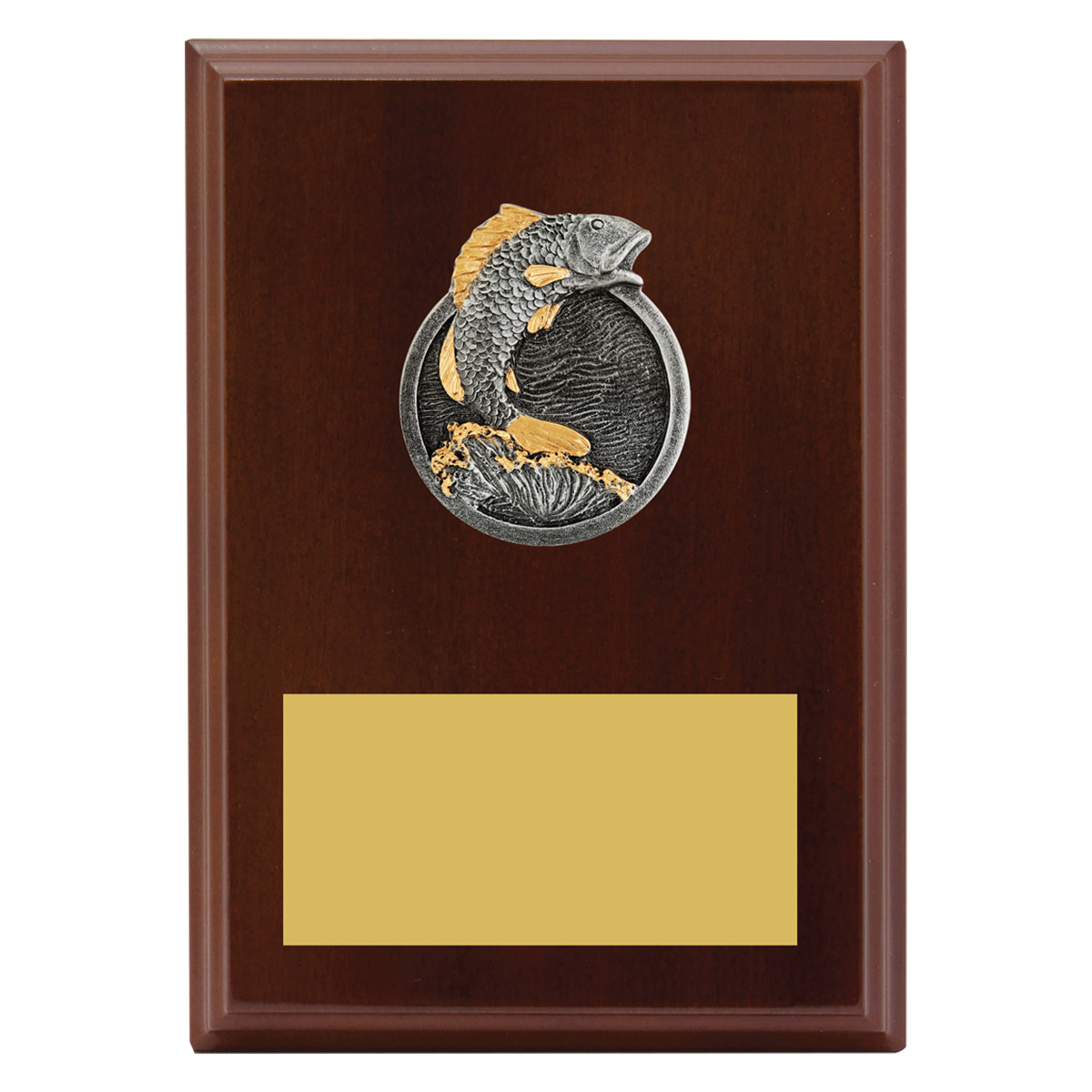 Peak Plaque Fishing