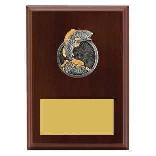 Peak Plaque Fishing