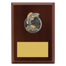 Peak Plaque Fishing