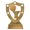 Basketball Gold Shield!