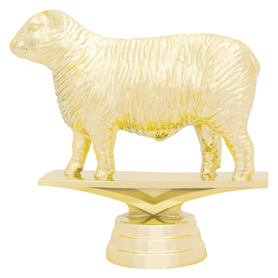 Sheep!