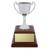 Classic Silver Cup