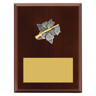Peak Plaque Shooting