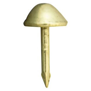 Plaque Nail - Gold