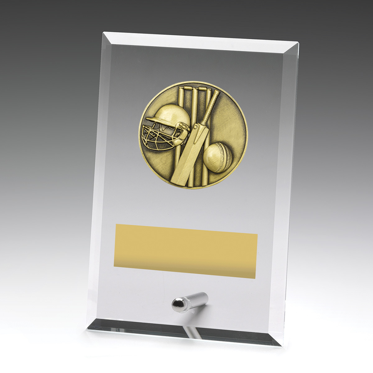 Glass Plaques - Cricket