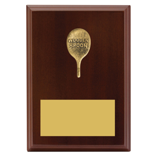 Wooden Spoon Plaque