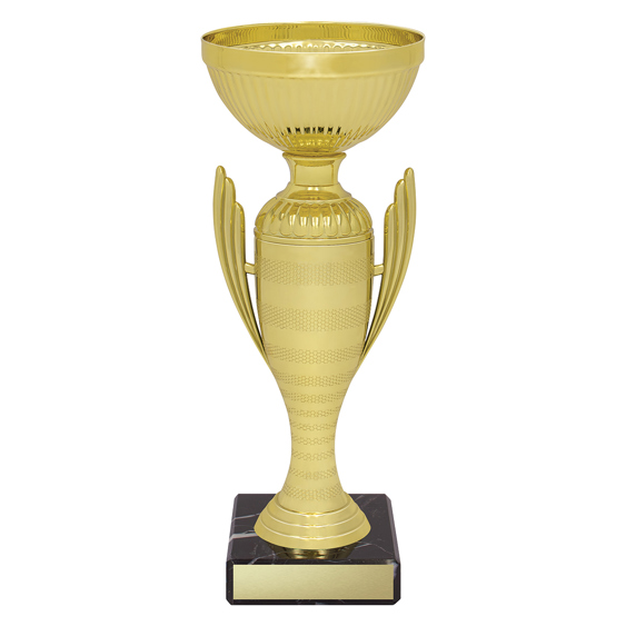 Guardian Cup!