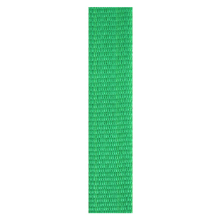 Green Loop Ribbon
