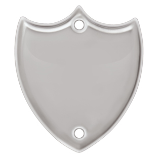 Side Shield