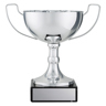 Vista Cup!