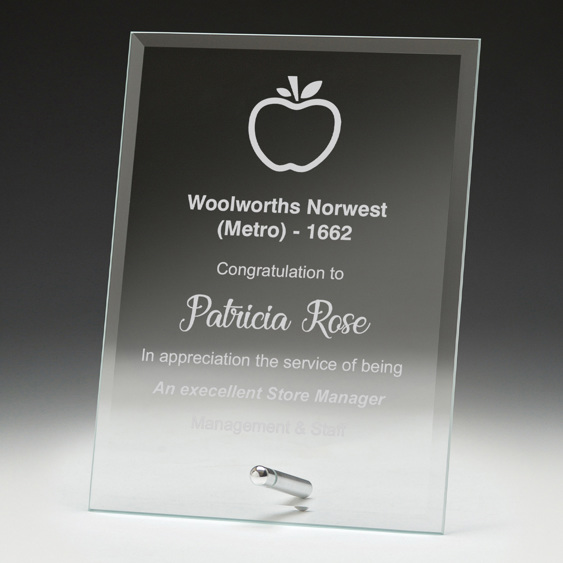 Budget Plaque!