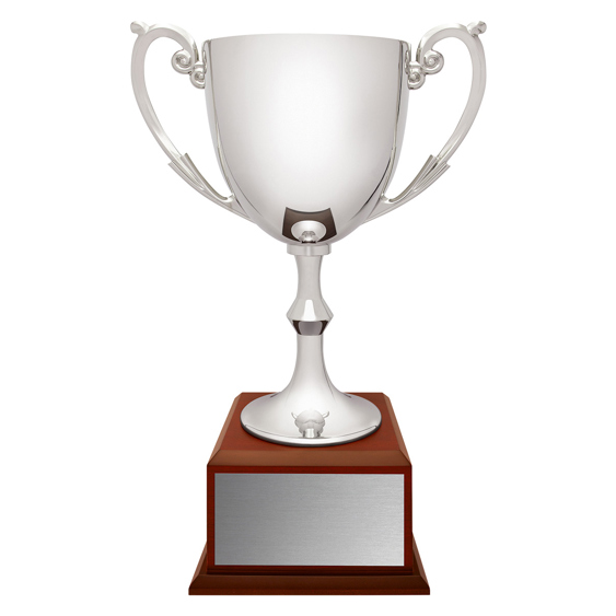 Recognition - Timber Base!