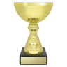 Reverie Cup - Gold!