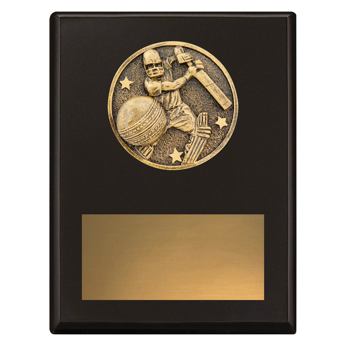 Challenge Plaque - Batting