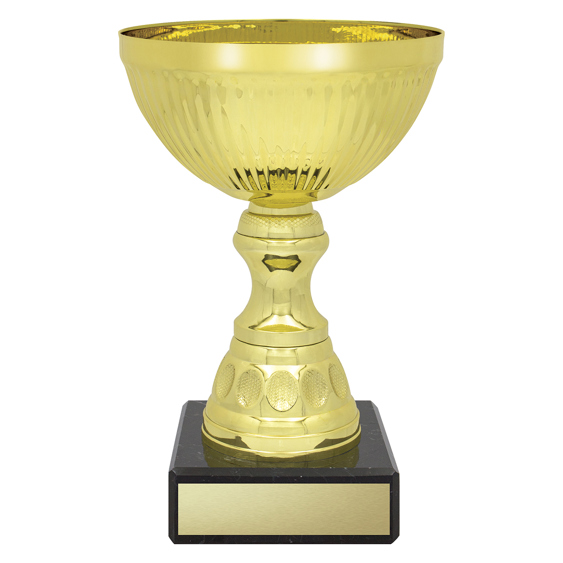 Reverie Cup - Gold!