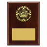 Varsity Plaque - Swim