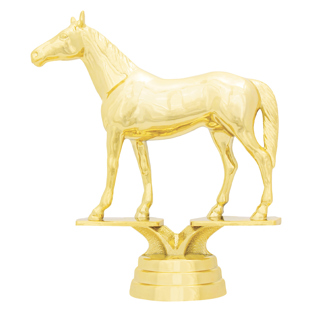 Thoroughbred
