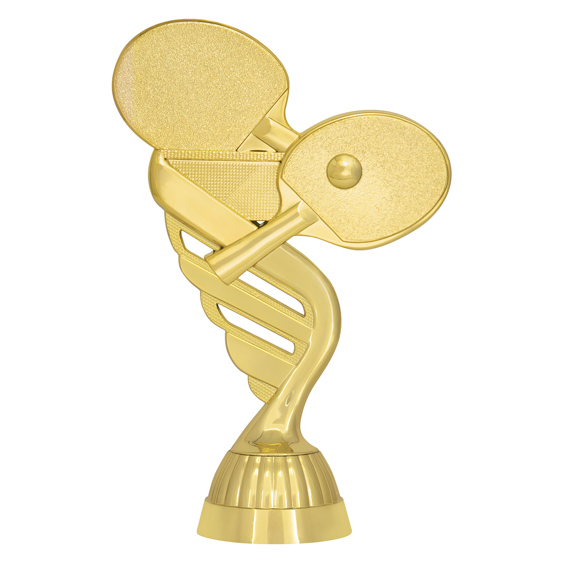 Table Tennis Gold!