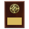Varsity Plaque - Athletics