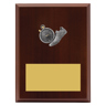 Peak Plaque Track