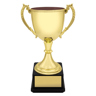 Ultimate Gold Cup!