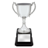Ultimate Silver Cup