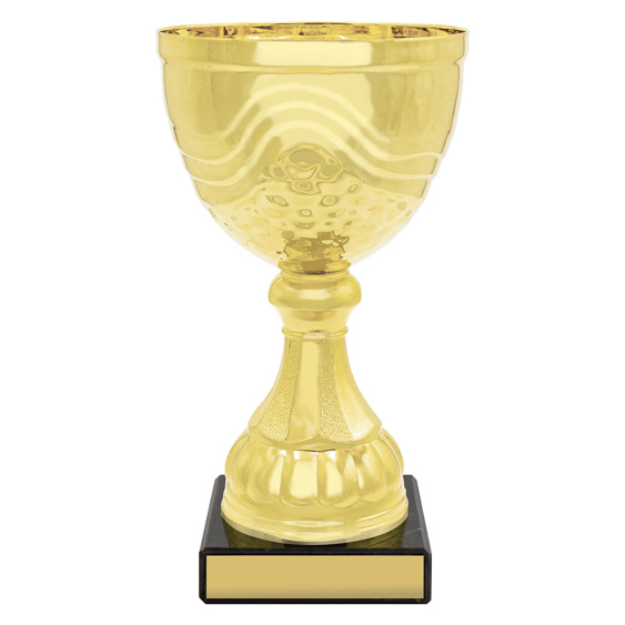 Community Cup!