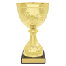 Community Cup