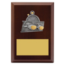 Peak Plaque Swim