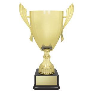 Ironside Cup - Gold