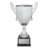 Ironside Cup - Silver!