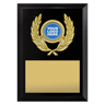 Focus Plaque