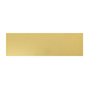 Trophy Plate - 74x22mm