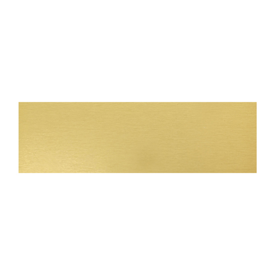 Trophy Plate - 74x22mm!