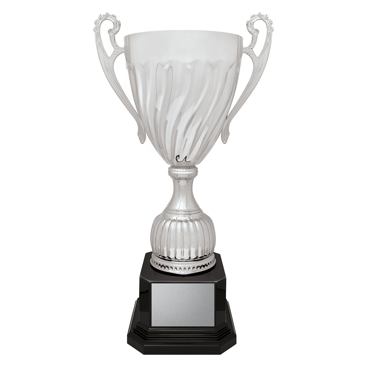 Cruiser Cup - Silver