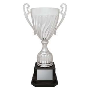 Cruiser Cup - Silver