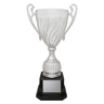 Cruiser Cup - Silver