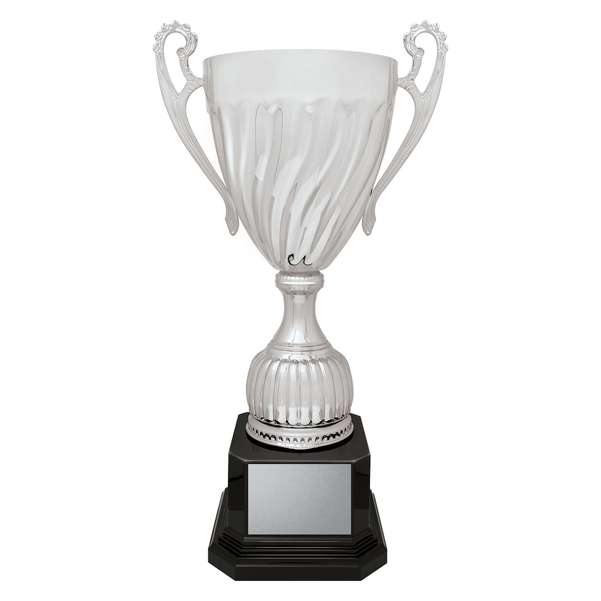 Cruiser Cup - Silver