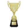 Cruiser Cup - Gold
