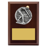 Peak Plaque - Male Swim