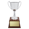 Classic Silver Cup!