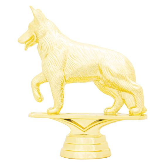 Alsatian Dog!