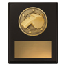 Challenge Plaque - Whistle