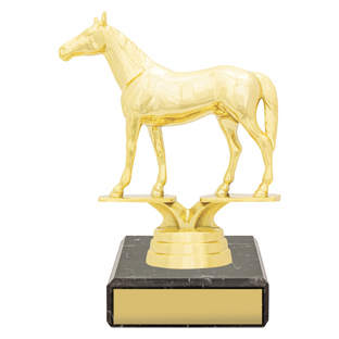 Figure Trophy - Thoroughbred