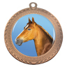 Ovation - Horse!