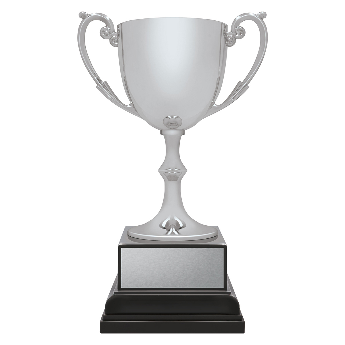 Ace Recognition Silver