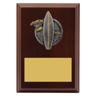Peak Plaque Surfing